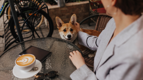 Pet Voyage Brisbane Pet Friendly cafe